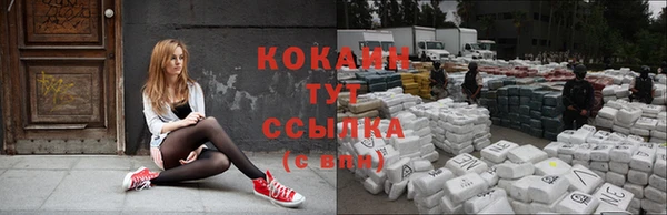 ПСИЛОЦИБИНОВЫЕ ГРИБЫ Заволжье