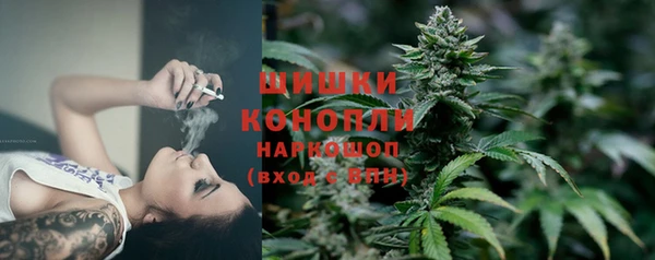 ПСИЛОЦИБИНОВЫЕ ГРИБЫ Заволжье