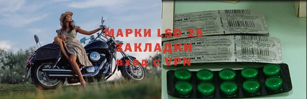 ПСИЛОЦИБИНОВЫЕ ГРИБЫ Заволжье