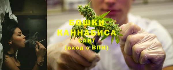 ПСИЛОЦИБИНОВЫЕ ГРИБЫ Заволжье