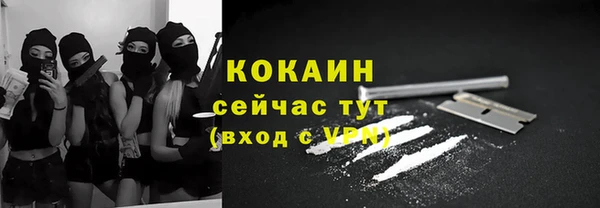 ПСИЛОЦИБИНОВЫЕ ГРИБЫ Заволжье