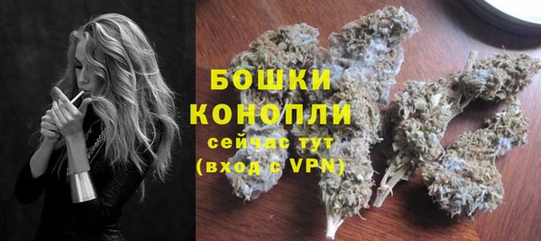ГАЛЛЮЦИНОГЕННЫЕ ГРИБЫ Заводоуковск