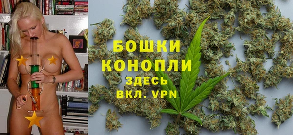 ГАЛЛЮЦИНОГЕННЫЕ ГРИБЫ Заводоуковск