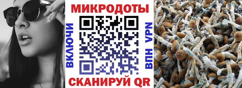 Галлюциногенные грибы прущие грибы  Купить  Белокуриха 